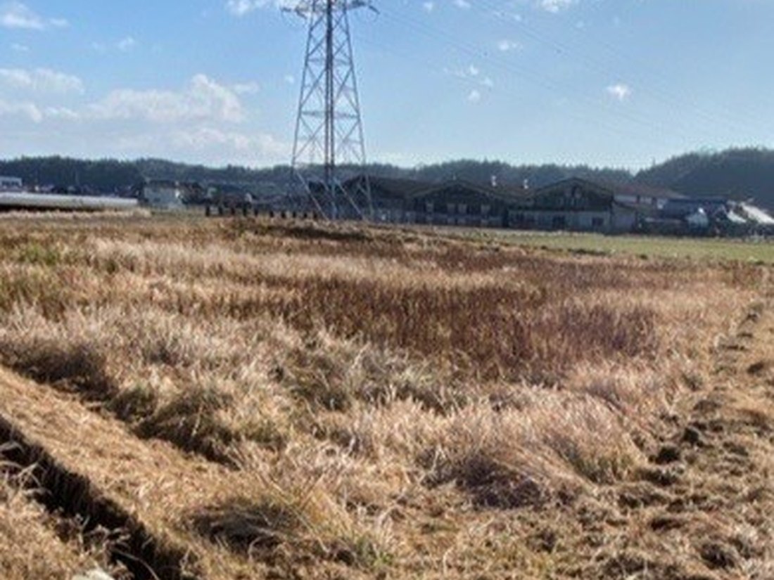 耕起する前の農地