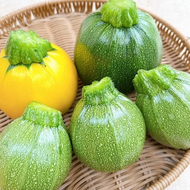京丸ズッキーニ