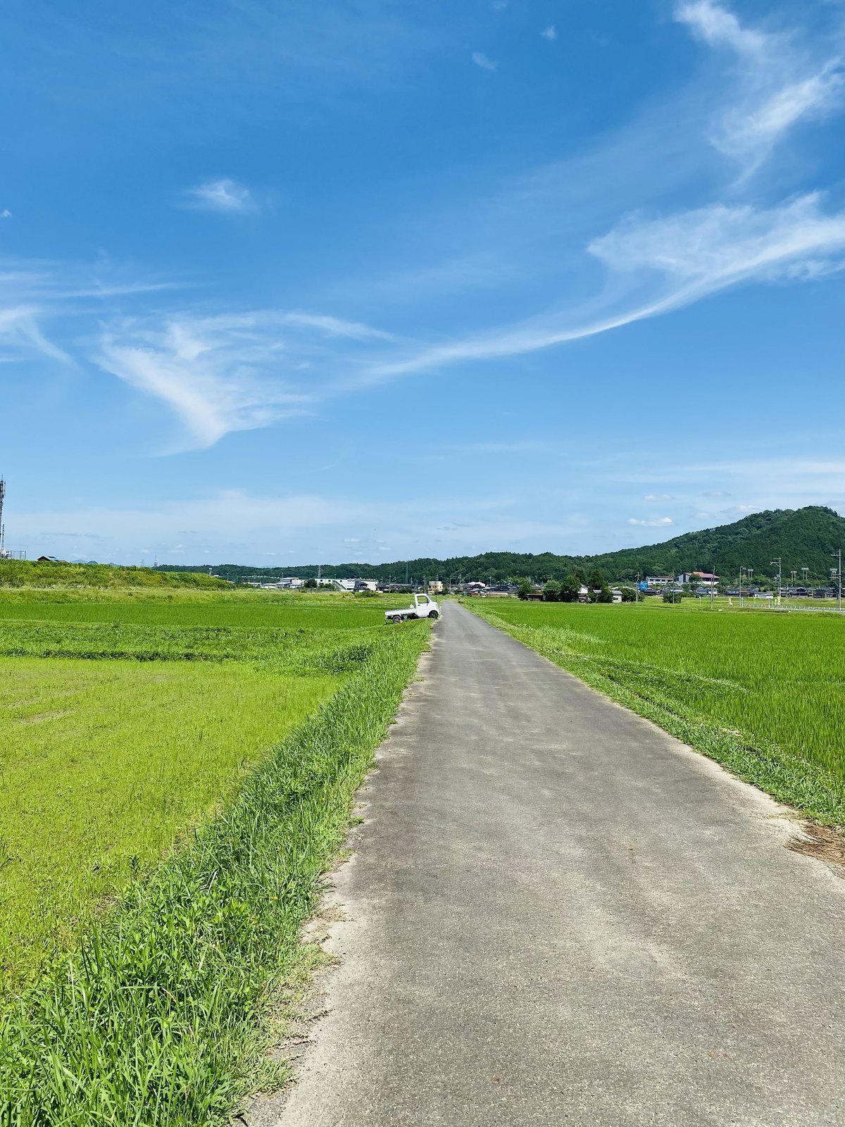 田んぼの間を通る農道